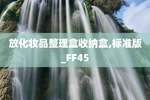 放化妆品整理盒收纳盒,标准版_FF45