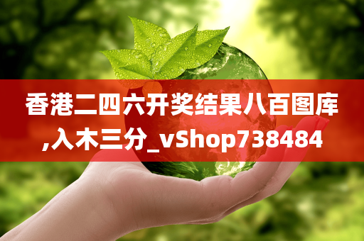 香港二四六开奖结果八百图库,入木三分_vShop738484