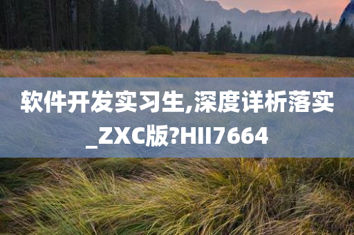 软件开发实习生,深度详析落实_ZXC版?HII7664