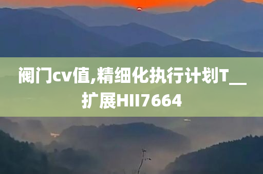 阀门cv值,精细化执行计划T__扩展HII7664