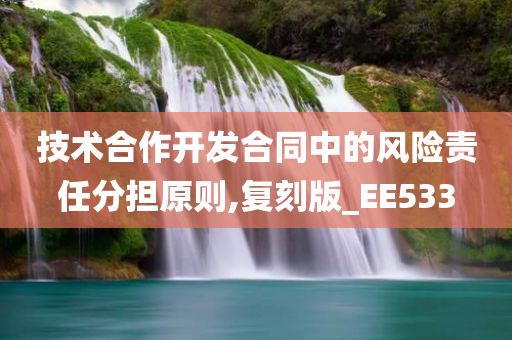 技术合作开发合同中的风险责任分担原则,复刻版_EE533