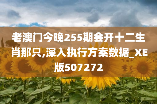 老澳门今晚255期会开十二生肖那只,深入执行方案数据_XE版507272