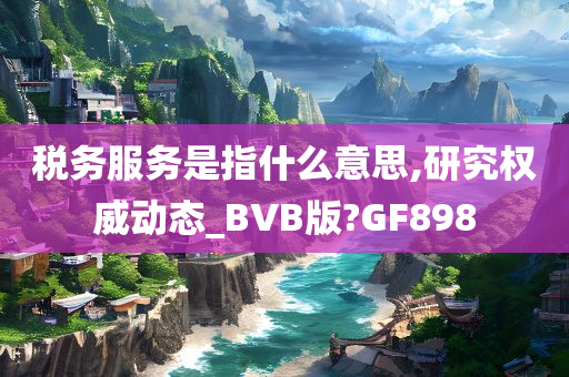 税务服务是指什么意思,研究权威动态_BVB版?GF898