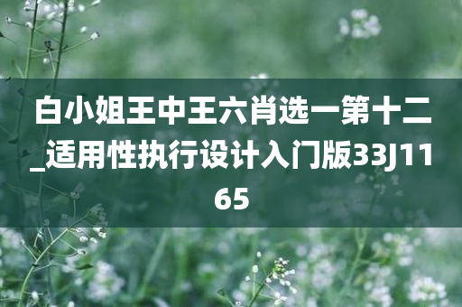 白小姐王中王六肖选一第十二_适用性执行设计入门版33J1165