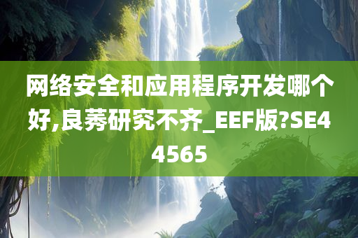 网络安全和应用程序开发哪个好,良莠研究不齐_EEF版?SE44565