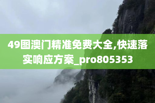 49图澳门精准免费大全,快速落实响应方案_pro805353