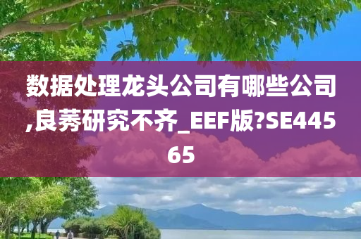 数据处理龙头公司有哪些公司