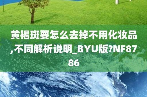 黄褐斑要怎么去掉不用化妆品,不同解析说明_BYU版?NF8786