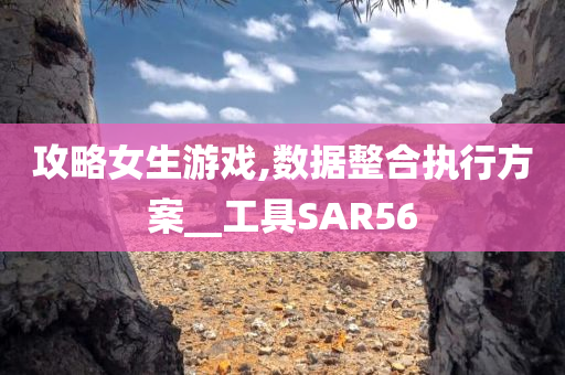 攻略女生游戏,数据整合执行方案__工具SAR56