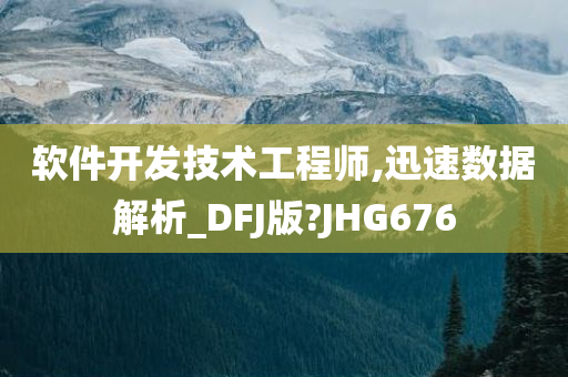 软件开发技术工程师,迅速数据解析_DFJ版?JHG676