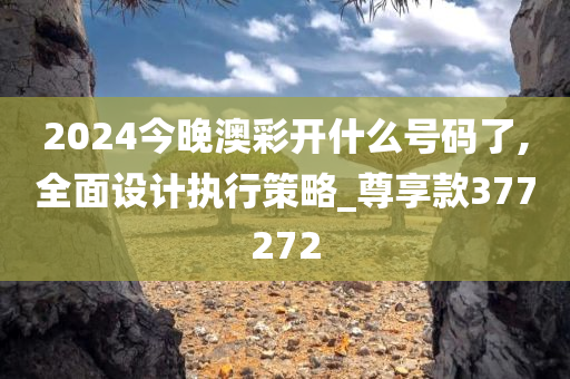 2024今晚澳彩开什么号码了,全面设计执行策略_尊享款377272