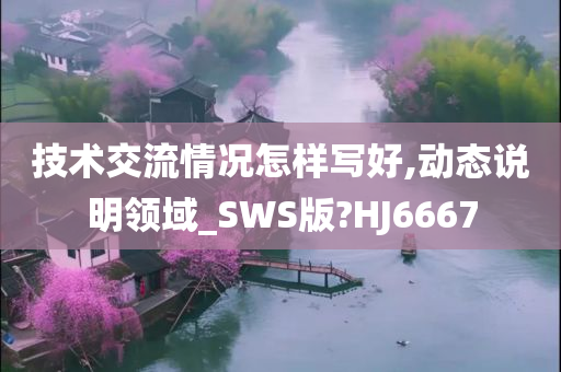 技术交流情况怎样写好,动态说明领域_SWS版?HJ6667