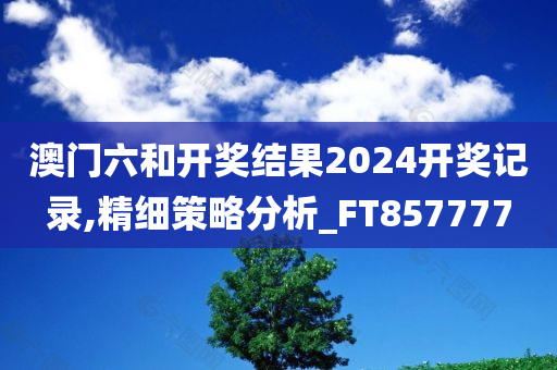 澳门六和开奖结果2024开奖记录,精细策略分析_FT857777