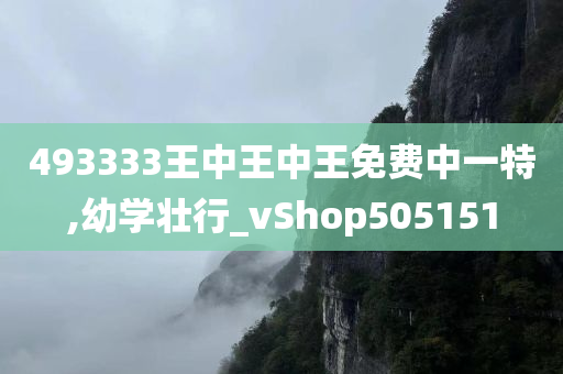 493333王中王中王免费中一特,幼学壮行_vShop505151