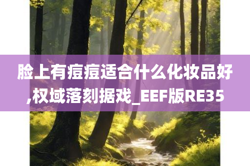 脸上有痘痘适合什么化妆品好,权域落刻据戏_EEF版RE35