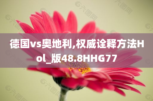 德国vs奥地利,权威诠释方法Hol_版48.8HHG77