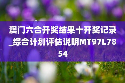 澳门六合开奖结果十开奖记录_综合计划评估说明MT97L7854