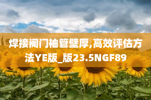 焊接阀门袖管壁厚,高效评估方法YE版_版23.5NGF89