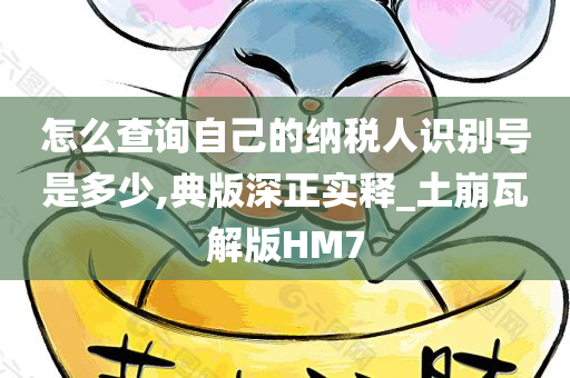 怎么查询自己的纳税人识别号是多少