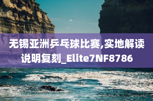 无锡亚洲乒乓球比赛,实地解读说明复刻_Elite7NF8786