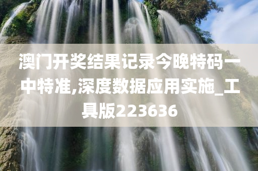 澳门开奖结果记录今晚特码一中特准,深度数据应用实施_工具版223636