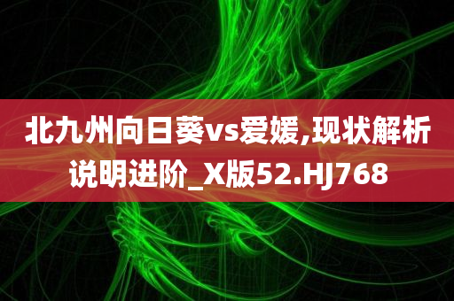 北九州向日葵vs爱媛,现状解析说明进阶_X版52.HJ768