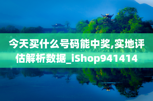 今天买什么号码能中奖,实地评估解析数据_iShop941414