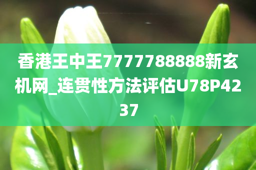 香港王中王7777788888新玄机网_连贯性方法评估U78P4237