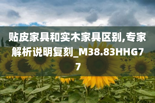 贴皮家具和实木家具区别,专家解析说明复刻_M38.83HHG77