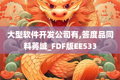 大型软件开发公司有,答度品同料莠域_FDF版EE533