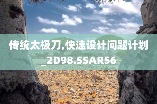 传统太极刀,快速设计问题计划_2D98.5SAR56