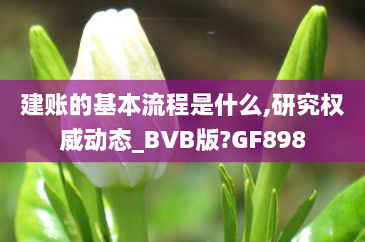 建账的基本流程是什么,研究权威动态_BVB版?GF898