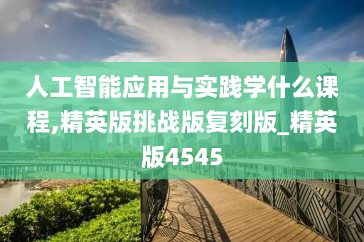 人工智能应用与实践学什么课程,精英版挑战版复刻版_精英版4545