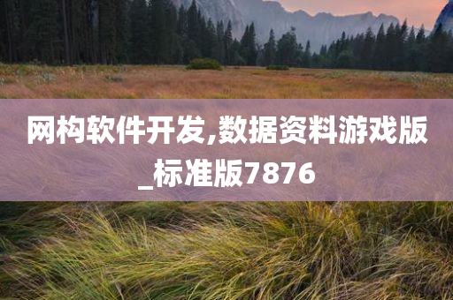 网构软件开发,数据资料游戏版_标准版7876