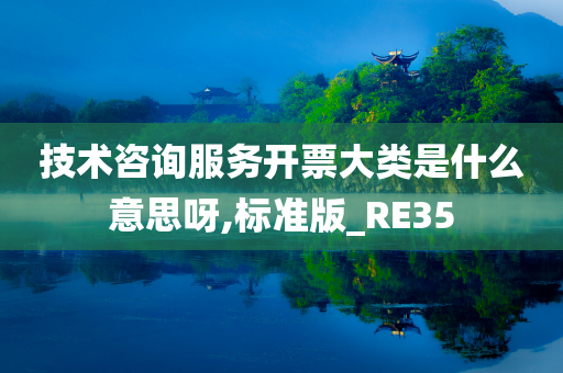 技术咨询服务开票大类是什么意思呀,标准版_RE35