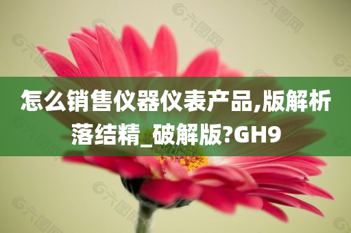 怎么销售仪器仪表产品,版解析落结精_破解版?GH9