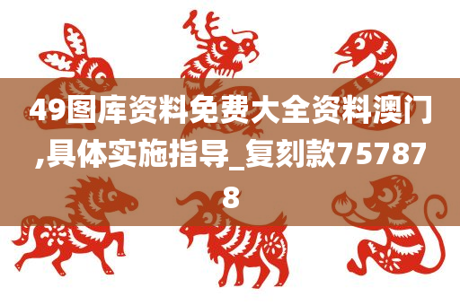 49图库资料免费大全资料澳门,具体实施指导_复刻款757878