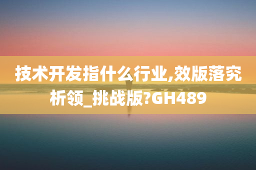 技术开发指什么行业,效版落究析领_挑战版?GH489