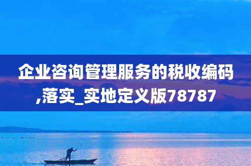 企业咨询管理服务的税收编码,落实_实地定义版78787