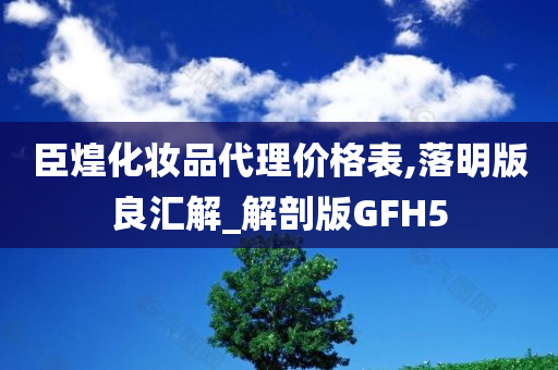 臣煌化妆品代理价格表,落明版良汇解_解剖版GFH5