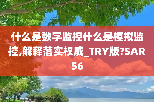 什么是数字监控什么是模拟监控,解释落实权威_TRY版?SAR56