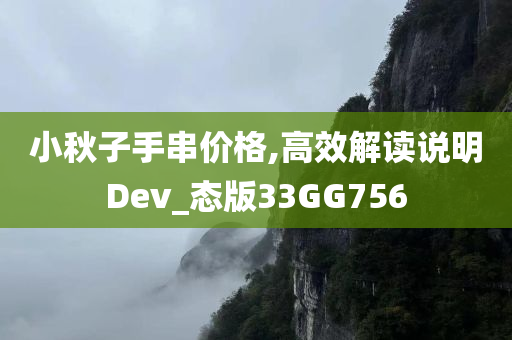 小秋子手串价格,高效解读说明Dev_态版33GG756