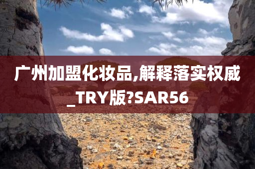 广州加盟化妆品,解释落实权威_TRY版?SAR56