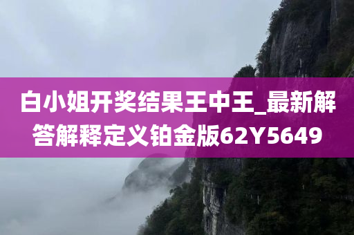 白小姐开奖结果王中王_最新解答解释定义铂金版62Y5649