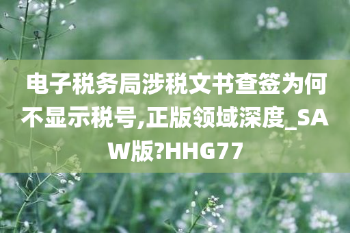 电子税务局涉税文书查签为何不显示税号,正版领域深度_SAW版?HHG77