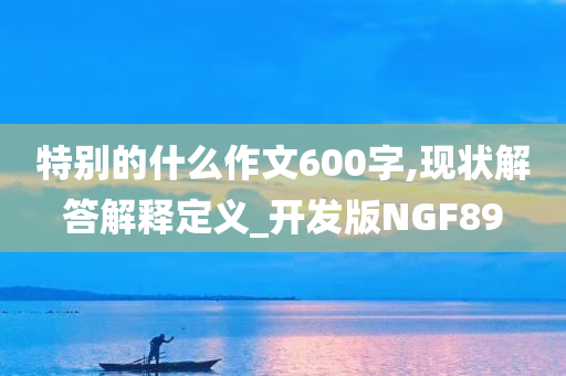 特别的什么作文600字,现状解答解释定义_开发版NGF89