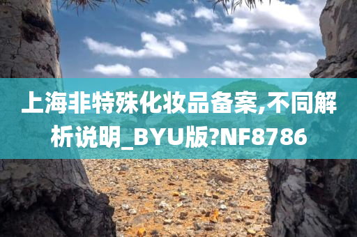 上海非特殊化妆品备案,不同解析说明_BYU版?NF8786