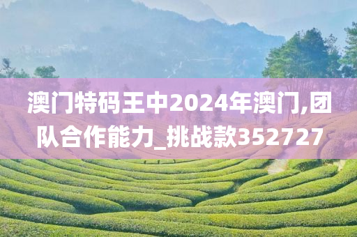 澳门特码王中2024年澳门,团队合作能力_挑战款352727