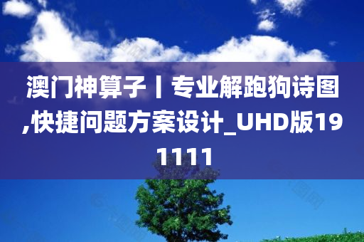 澳门神算子丨专业解跑狗诗图,快捷问题方案设计_UHD版191111