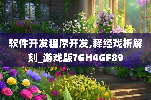 软件开发程序开发,释经戏析解刻_游戏版?GH4GF89